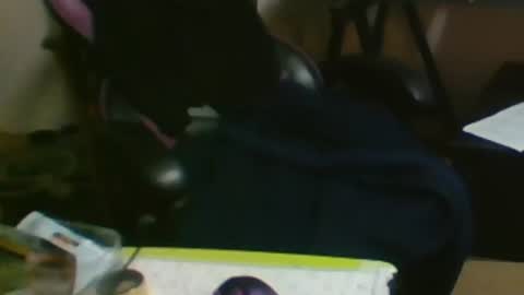 Snapshot of schnico chatting on October 20, 6:01 pm schmidti online show from October 20, 6:01 pm