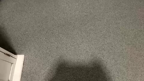 scottyc48 online show from December 15, 12:24 pm