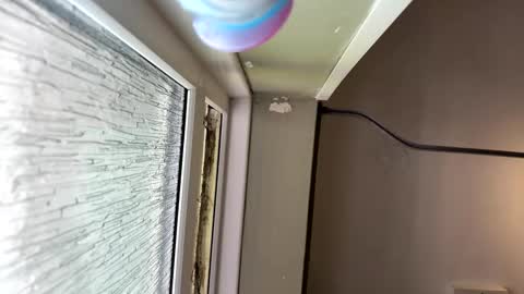 scottyc48 online show from April 14, 1:43 pm