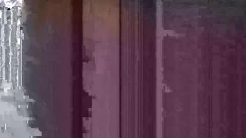 scroey online show from January 20, 12:36 am