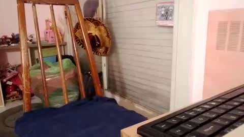 sebastiaargentina online show from February 6, 3:52 pm