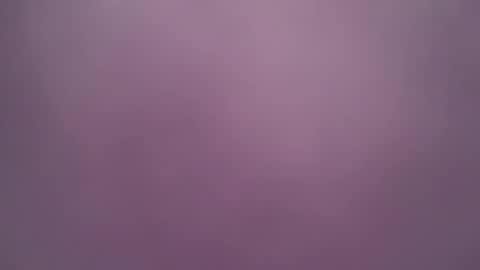 SENS3439 online show from March 17, 2:30 pm