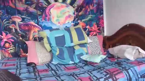 Mike online show from January 14, 4:55 pm