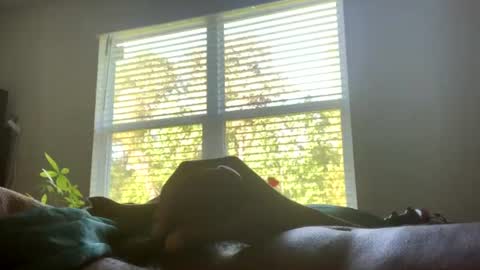 sexyhornyman1993 online show from June 29, 12:27 pm