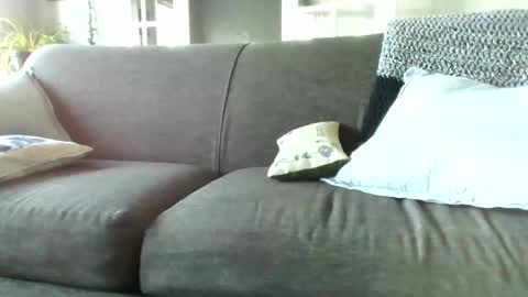 Snapshot of shakeyman889 chatting on December 5, 4:23 pm shakeyman889 online show from December 5, 4:23 pm