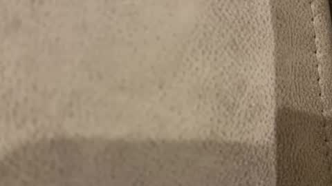 Bill online show from November 15, 5:42 am