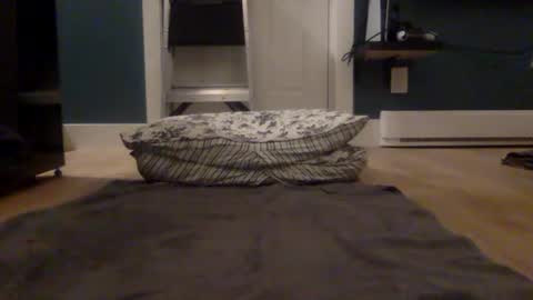 shenanigans101 online show from January 17, 4:17 am