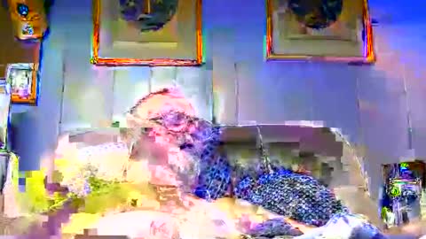 shpoink online show from November 25, 3:19 am