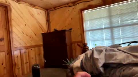 sinfull2022 online show from February 1, 4:38 pm