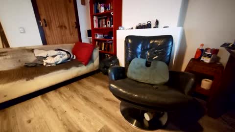 Petra online show from April 8, 6:27 pm