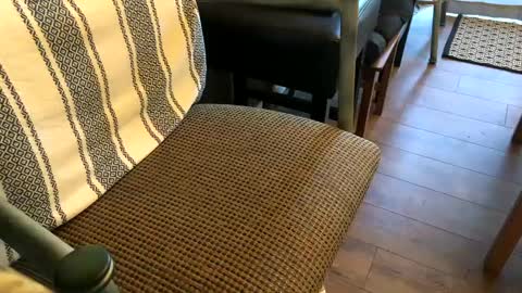 Peter Johnson online show from October 13, 7:20 pm