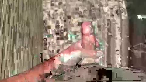 sofloguy16 online show from March 10, 5:02 am