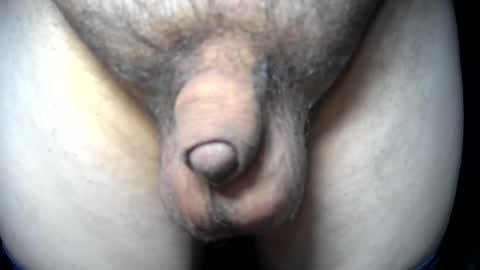 soft4you online show from April 13, 7:31 am