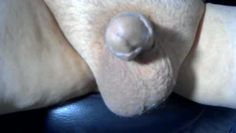 soft4you online show from September 15, 10:55 pm