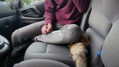 Sondages online show from November 6, 8:06 am