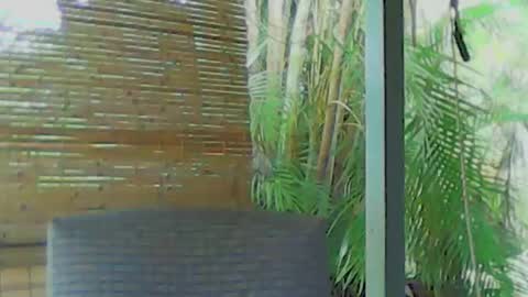 soveryhandsome online show from December 17, 5:18 am