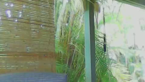 soveryhandsome online show from January 4, 5:58 am