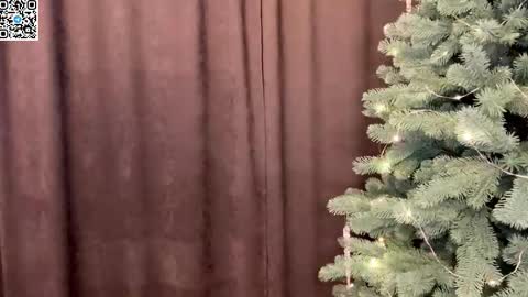 Alex online show from December 21, 11:24 pm