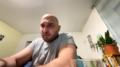 sta13 online show from April 2, 10:50 pm