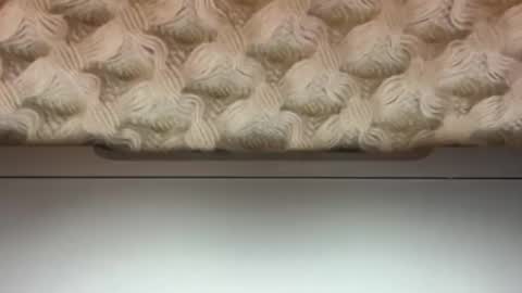 stoneybel online show from January 27, 4:30 am