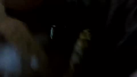 stuntcockdouble online show from October 16, 8:11 am