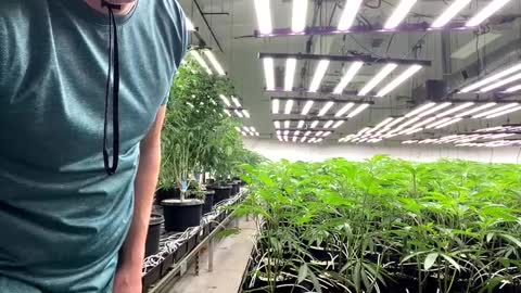 subbunny420 online show from September 30, 6:00 pm