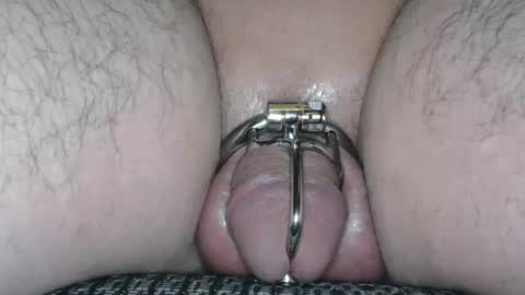 subchastityhere online show from December 16, 7:54 pm