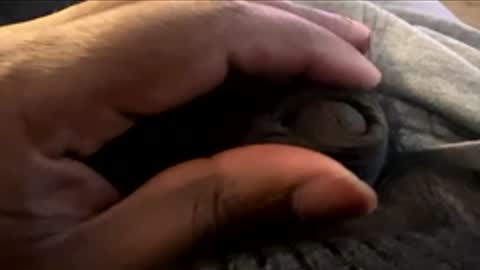 Let me be your knight that saves you online show from January 7, 8:58 pm