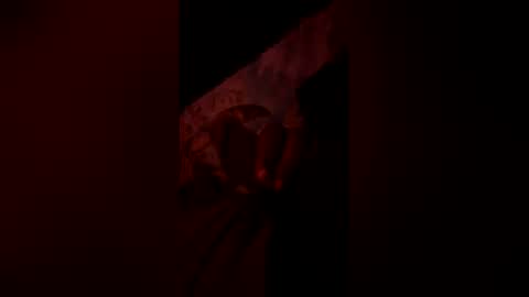 tacovegan4 online show from January 6, 7:23 am