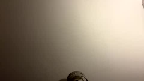 tastytexas24 online show from April 5, 11:12 pm