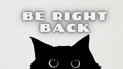 Ted online show from January 5, 7:17 pm