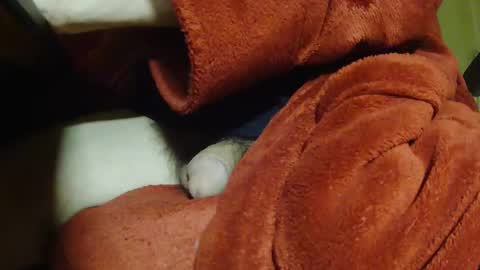 tetuo2 online show from April 11, 8:40 am