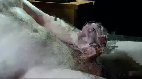 Texas Rose 33 online show from April 5, 9:44 pm