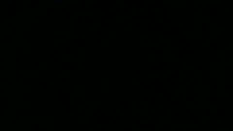 Duke online show from February 23, 7:49 am