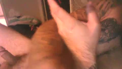 Snapshot of thatdadbod89 chatting on October 11, 3:38 pm thatdadbod89 online show from October 11, 3:38 pm