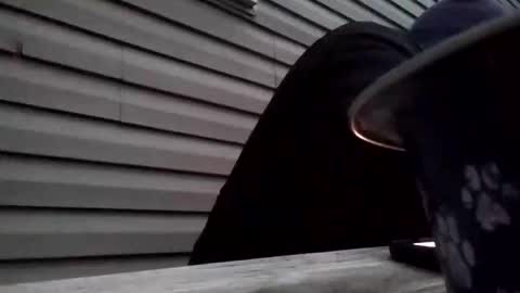 the_invincible_1 online show from November 2, 11:47 am