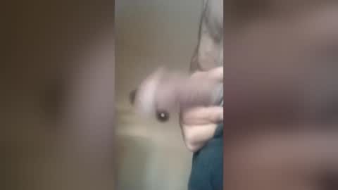 The Real Good Dick online show from June 14, 2:24 am