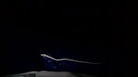 the toyboy online show from February 13, 5:02 am