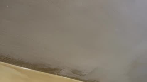 thundersword online show from February 17, 6:45 am