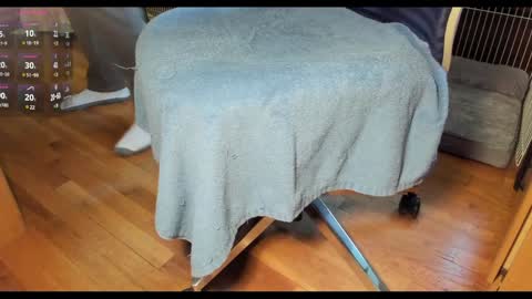 Morgan online show from December 30, 1:36 pm