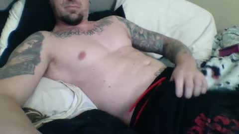 tipzfortats online show from February 17, 3:31 pm