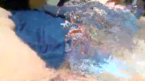 tnt8637 online show from November 25, 7:32 am