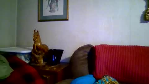 Vols online show from January 19, 12:46 am