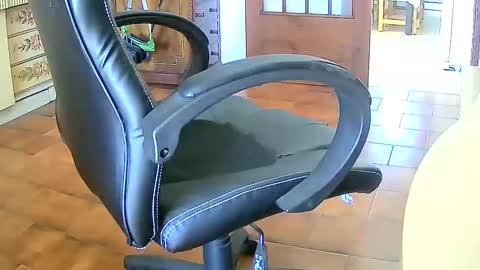 Tobiko online show from February 8, 1:54 pm