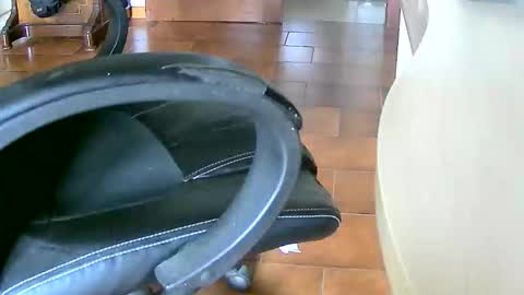 Tobiko online show from March 1, 2:50 pm