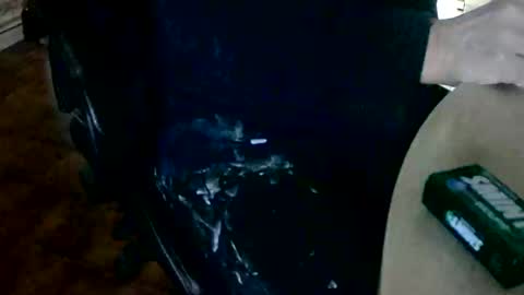 Tobiko online show from March 4, 1:29 pm