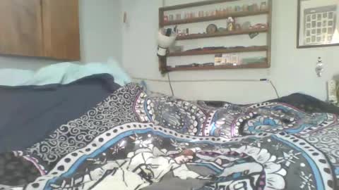 toddhaven4u online show from November 16, 1:46 pm