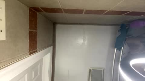 WapBopper online show from October 30, 11:55 am