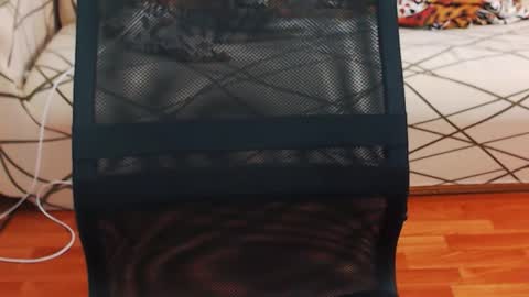 I POST MY FUCKING VIDEOS AND PICS    online show from March 15, 3:58 am