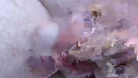 troy1965 online show from April 3, 3:47 am